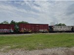 WRWK 728338